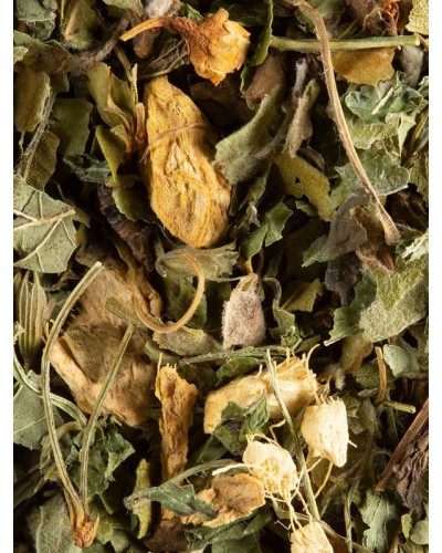 Magic Ginger Tisane-magic-ginger