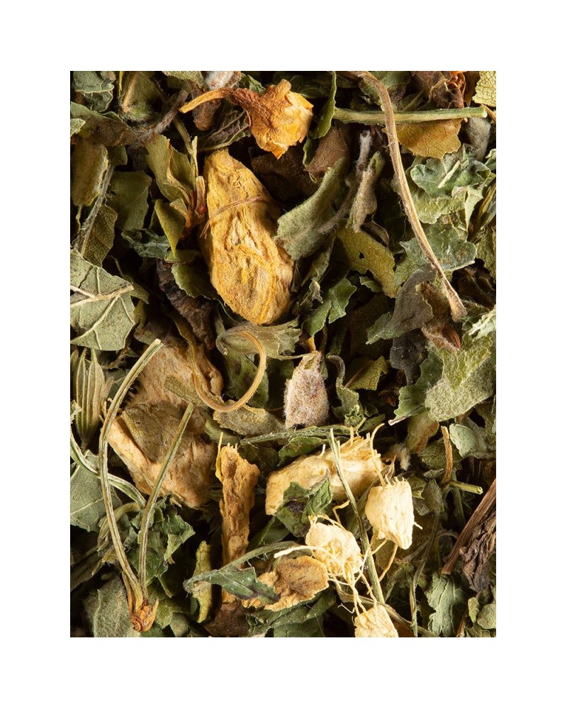 Magic Ginger Tisane-magic-ginger