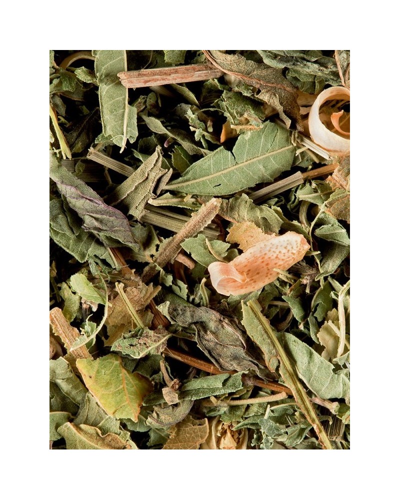 Tisane du Berger TISANE-du-berger