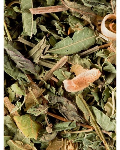 Tisane du Berger TISANE-du-berger