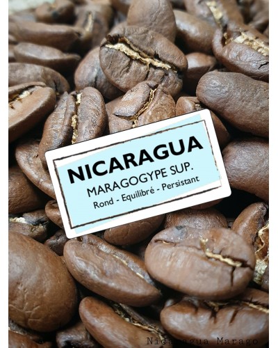 NICARAGUA - Maragogype KF-nicaragua
