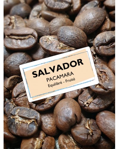 SALVADOR - Pacamara S.H.G. KF-Salvador Pacamara
